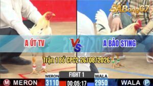 Trận 1 CPC2 26/08/2026 – Idol Bảo Sting Gặp Anh Út Trà Vinh