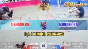 Trận 1 Xà Xía 12/08/2026 – Anh Khang RG Đụng Độ Với Anh Hướng BT