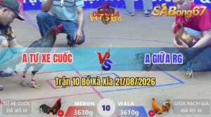 Trận 10 Xà Xía 21/08/2026 – Anh Tư Xe Cuốc Làm Thịt Anh Giữa Rạch Giá