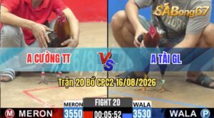 Trận 20 CPC2 16/08/2026 – Anh Cường TT Tung Gà Cọp Ra Sân