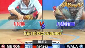 Trận 3 CPC2 22/08/2026 – Idol Bảo Sting Tung Hàng Hiệu Ra Quân
