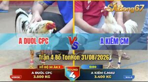 Trận 4 Tonhon 31/08/2026 – Anh Duol Campuchia Gặp Anh Kiểm Cà Mau