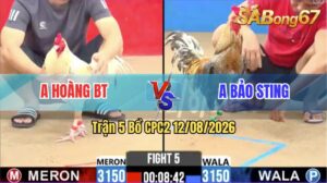 Trận 5 CPC2 12/08/2026 – Idol Bảo Sting Tung Gà Cú Hiệu Ra Sân