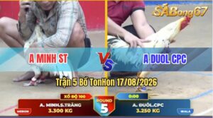 Trận 5 Tonhon 17/08/2026 – Anh Duol CPC Bị Anh Minh ST Dí Bạc Ăn 5