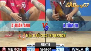 Trận 6 CPC2 18/08/2026 – Anh Tuấn Anh Hạ Anh Tâm Trong 3 Nốt Nhạc