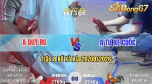 Trận 8 Xà Xía 20/08/2026 – Anh Quý Rạch Giá Gặp Anh Tư Xe Cuốc