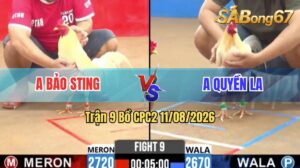 Trận 9 CPC2 11/08/2026 – Idol Bảo Sting Nay Đem Toàn Hàng Hiệu Đi Đá