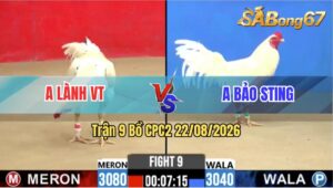 Trận 9 CPC2 22/08/2026 – Idol Bảo Sting Bị Anh Lành Đánh Bại