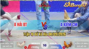 Trận 10 Xà Xía 08/09/2026 – Idol Kiểm Cà Mau Gặp Anh Hải Bến Tre