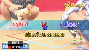 Trận 2 CPC2 22/09/2026 – Anh Quậy VT Đối Đầu Anh Cường BT
