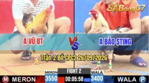 Trận 2 CPC2 26/09/2026 – Idol Bảo Sting Đối Đầu Với Anh Vũ TB