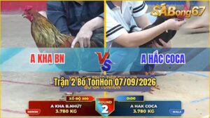 Trận 2 Tonhon 07/09/2026 – Anh Kha Và Anh Hắc Coca, Đá Xổ Nửa Tỷ