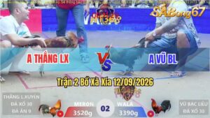 Trận 2 Xà Xía 12/09/2026 – Anh Thắng Long Xuyên Gặp Anh Vũ Bạc Liêu