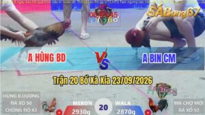 Trận 20 Xà Xía 23/09/2026 – Anh Hùng Bình Dương Và Anh Bi Chợ Mới
