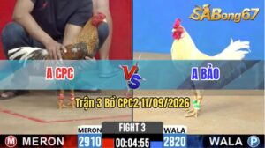 Trận 3 CPC2 11/09/2026 – Anh Bảo Đối Đầu Với Hàng Hiệu