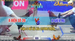 Trận 5 Xà Xía 21/09/2026 – Anh Biện Số 20 Gặp Phải Anh Giữa RG