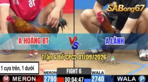 Trận 6 CPC2 01/09/2026 – Anh Hoàng BT Đụng Độ Với Anh Lành