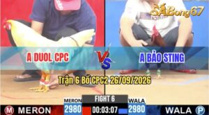 Trận 6 CPC2 26/09/2026 – Anh Duol CPC Đụng Độ Với Idol Bảo Sting