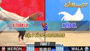 Trận 7 CPC2 09/09/2026 – Anh Tuấn Long Xuyên Có Pha Lật Kèo Quá Hay