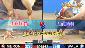 Trận 7 CPC2 10/09/2026 – Anh Tùng Gò Đen Hạ Anh Nhẫn Nhanh Gọn