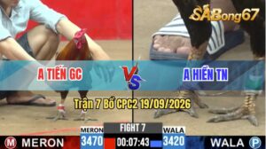 Trận 7 CPC2 19/09/2026 – Anh Tiến Gò Công Gặp Anh Hiền Tây Ninh