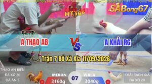 Trận 7 Xà Xía 11/09/2026 – Anh Tạo An Biên Và Anh Khải Rạch Giá