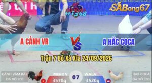 Trận 7 Xà Xía 24/09/2026 – Anh Cảnh VR Đụng Độ Với Anh Hắc Coca