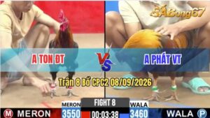 Trận 8 CPC2 10/09/2026 – Anh Ton Đồng Tháp Gặp Anh Phát Vũng Tàu