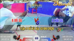 Trận 9 Xà Xía 13/09/2026 – Anh Đỏ Sài Gòn Đụng Độ Với Anh Hải Sài Gòn