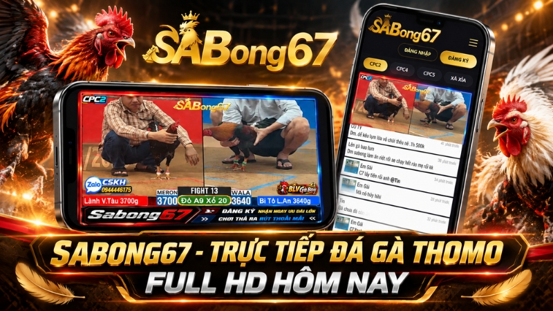 SABONG67 - Trực Tiếp Đá Gà Thomo Full HD Hôm Nay SABONG67 - Trực Tiếp Đá Gà Thomo Full HD Hôm Nay