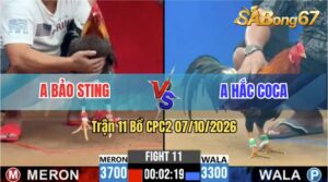 Trận 11 CPC2 07/10/2026 – Anh Bảo Sting Làm Thịt Anh Hắc Coca