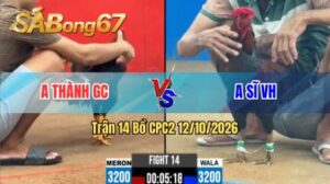Trận 14 CPC2 Ngày 12/10/2026 trên SABONG67