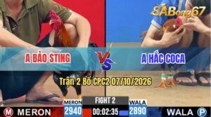 Trận 2 CPC2 07/10/2026 – Anh Hắc Coca Đánh Bại Anh Bảo Sting