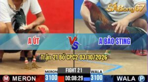 Trận 21 CPC2 03/10/2026 – Anh Út Đánh Bại Anh Bảo Sting Thành Công
