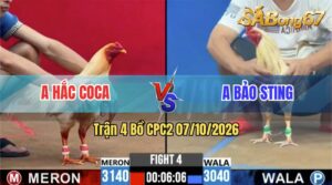 Trận 4 CPC2 07/10/2026 – Anh Bảo Sting Phục Thù Anh Hắc Coca