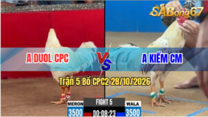 Trận 5 CPC2 28/10/2026 – Anh Duol CPC Đụng Với Anh Kiểm Cà Mau