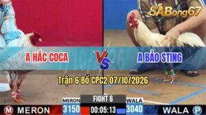 Trận 6 CPC2 07/10/2026 – Anh Hắc Coca Thất Thủ Trước Anh Bảo Sting