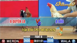 Trận 7 CPC2 08/10/2026 – Anh Quyền Long An Đối Đầu Với Anh Đào