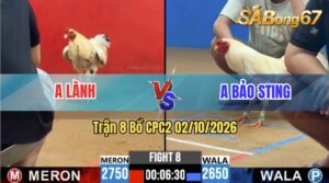 Trận 8 CPC2 02/10/2026 – Anh Bảo Sting Hạ Anh Lành Nhanh Gọn