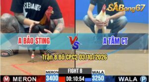 Trận 8 CPC2 03/10/2026 – Idol Bảo Sting Làm Thịt Anh Tâm CT