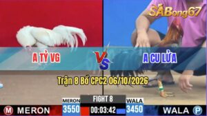 Trận 8 CPC2 06/10/2026 – Anh Tỷ VG Đụng Độ Với Anh Cu Lửa