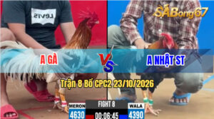 Trận 8 CPC2 23/10/2026 – Anh Gà Làm Thịt Anh Nhật Sóc Trăng